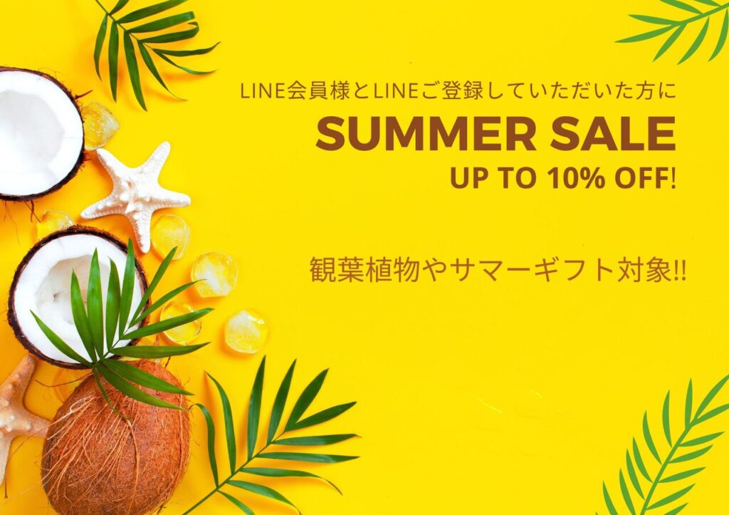 【LINE会員様・新規ご登録の方にサマーギフトsale実施中！】